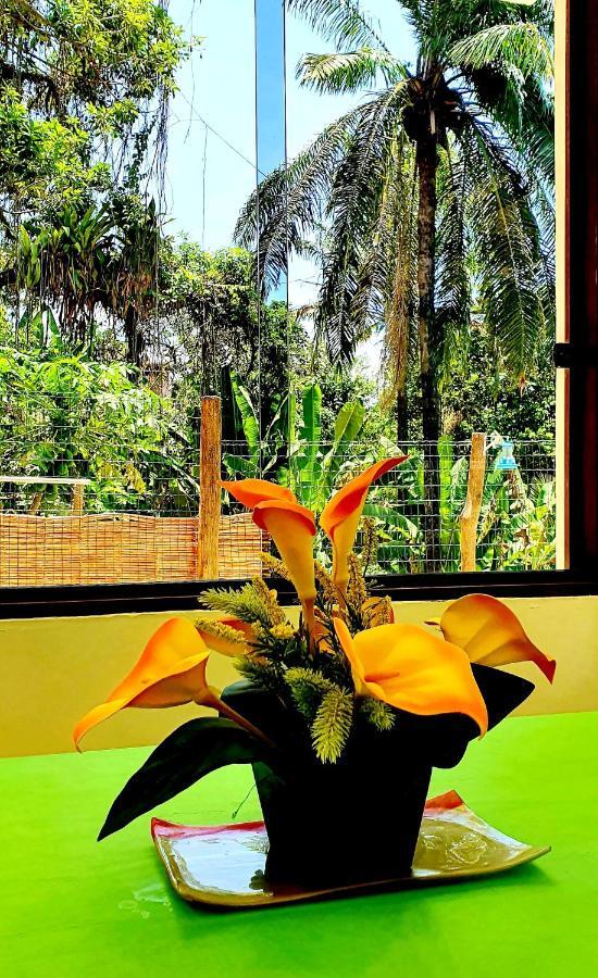 Bela Ipe Pousada Hostel Apart Morro de São Paulo Kültér fotó